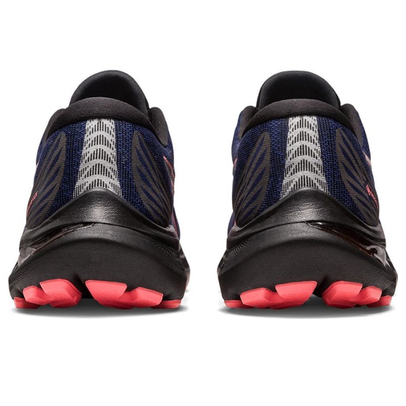 Asics GT 2000 11 GTX W 1012B304003 shoes Footwear/Running/Women Asics