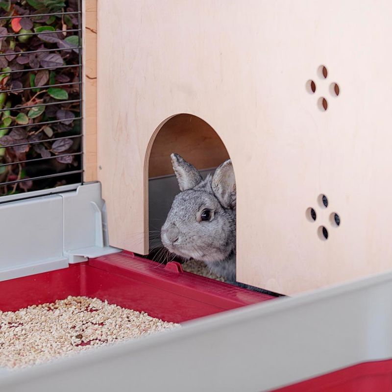 FERPLAST Rabbit 140 plus - rabbit cage (foldable) Dla małych zwierząt/Klatki Your Sports Performance