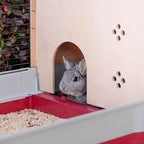 FERPLAST Rabbit 140 plus - rabbit cage (foldable) Dla małych zwierząt/Klatki Your Sports Performance