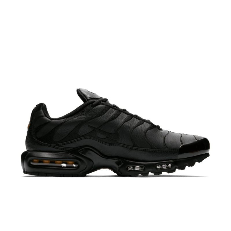 Nike Air Max Plus M AJ2029-001 shoes Footwear/Lifestyle/Nike Nike