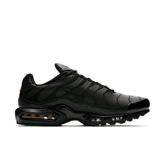 Nike Air Max Plus M AJ2029-001 shoes Footwear/Lifestyle/Nike Nike