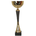 Triumph Cup 9216 In preparation Your Sports Performance