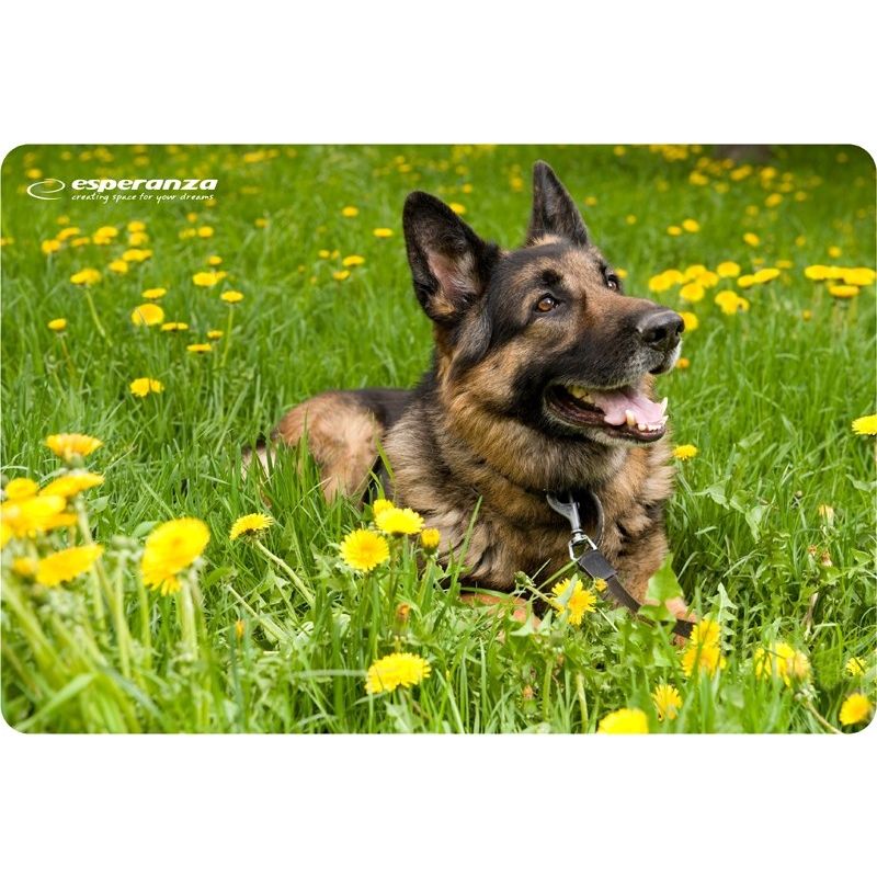 Esperanza Photo Mix Mouse Pad EA133 In preparation Your Sports Performance
