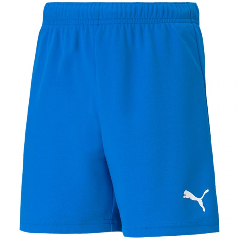 Puma teamRISE Short Jr 704943 02 Clothing/Football Puma