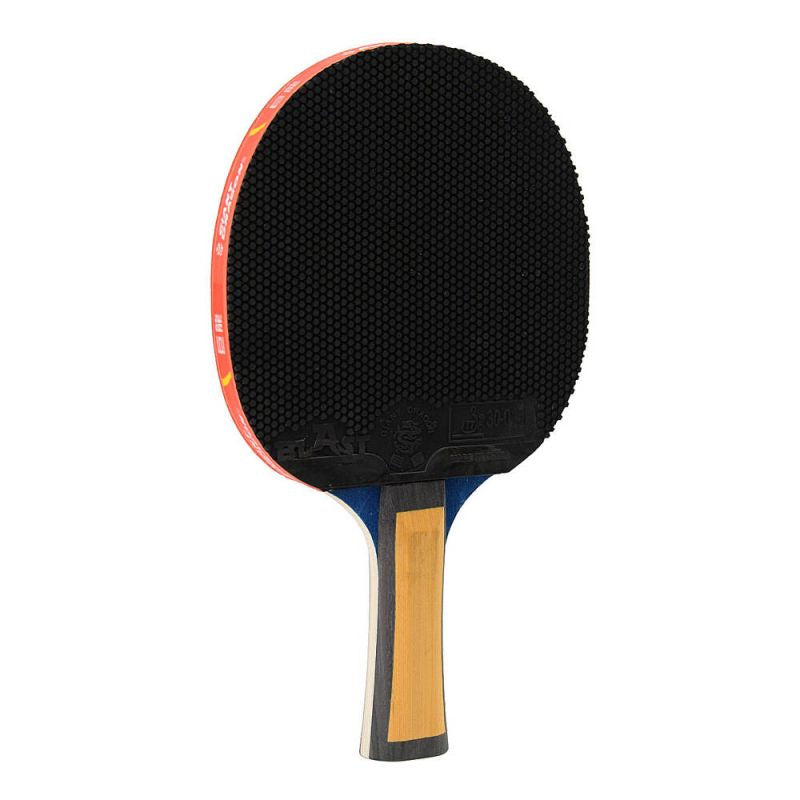Giant Dragon 4★ N8042 Table Tennis Racket Accessories/Rackets and accessories Your Sports Performance