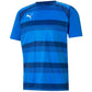 Puma teamVision Jersey M 704921 02 Clothing/Training Puma