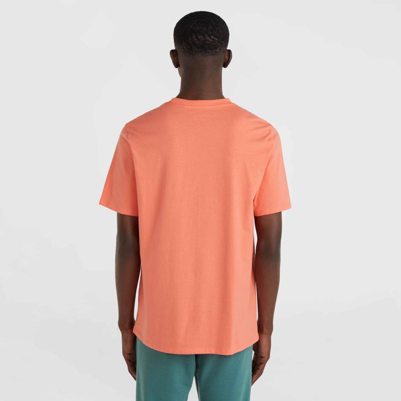 O'Neill Cali Original T-Shirt M 92800613165 ONeill