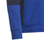 Adidas Colourblock Hoodie Jr HG6826 sweatshirt Clothing/Lifestyle Adidas