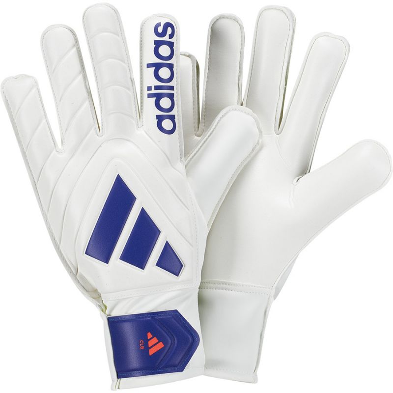 Adidas Copa GL CLB IX3835 goalkeeper gloves Accessories/Gloves Adidas