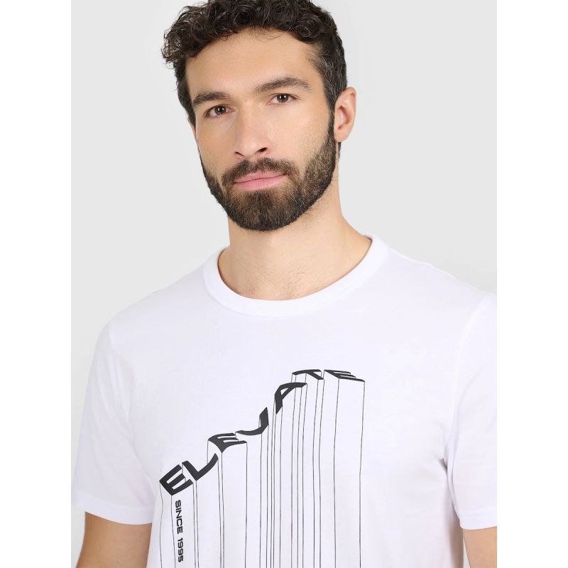 Men's regular printed T-shirt 4F 4FRAW25TTSHM3845-10S 4f