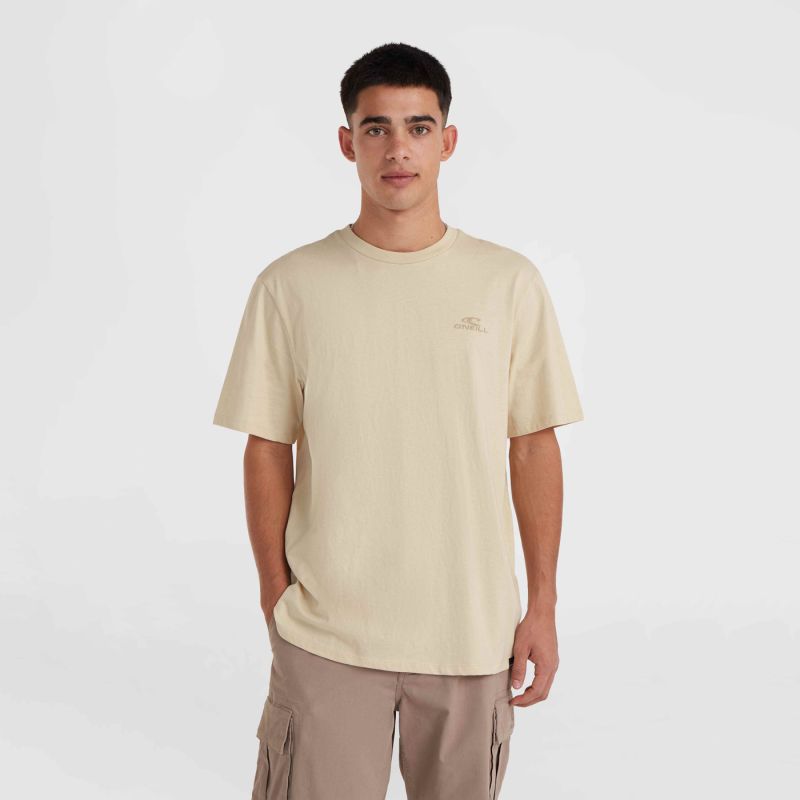 O'Neill Small Logo T-Shirt M 92800613999 ONeill