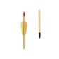 Poe Lang 30" Target Wooden Arrows - Set of 5 Import z Action/Strzelectwo/Strzały do łuków Your Sports Performance