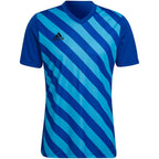T-shirt adidas Entrada 22 Graphic Jersey M HF0116 Clothing/Football Adidas