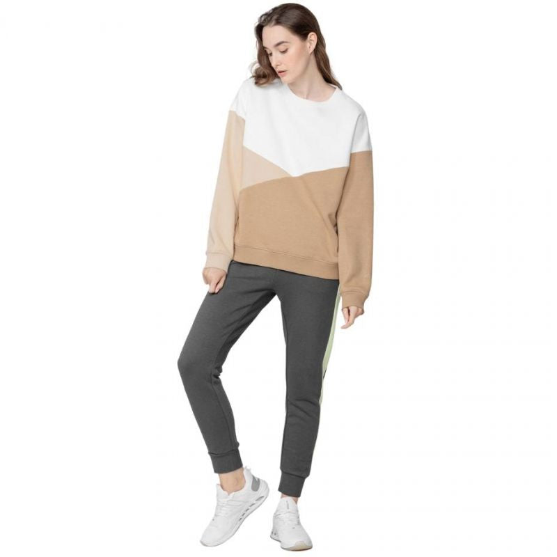 Sweatshirt 4F W H4L22 BLD013 82S Clothing/Outdoor Your Sports Performance