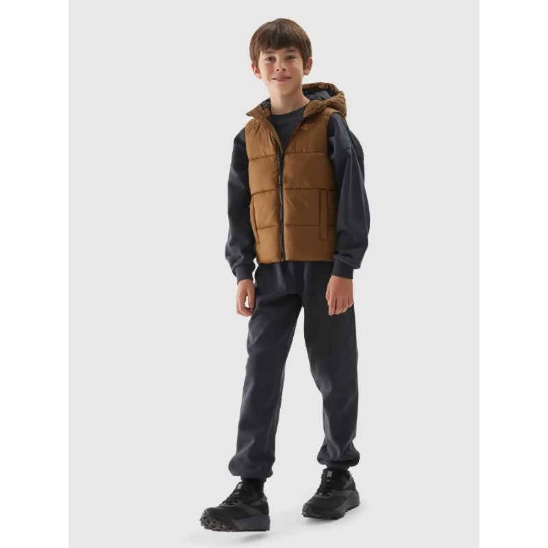 Jacket, sleeveless 4F Jr 4FJWAW24TVJAM134-82S Clothing/Outdoor 4F