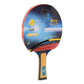 Giant Dragon 4★ N8042 Table Tennis Racket Accessories/Rackets and accessories Your Sports Performance