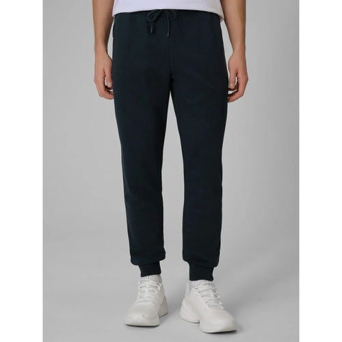 Men's jogger sweatpants 4F 4FRSS26TTROM1986-31S 4f