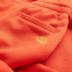 Children's LOKIRO TB Pants Iguana