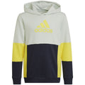 Adidas Colourblock Hoodie Jr HN8567 sweatshirt Clothing/Lifestyle Adidas