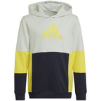 Adidas Colourblock Hoodie Jr HN8567 sweatshirt Clothing/Lifestyle Adidas