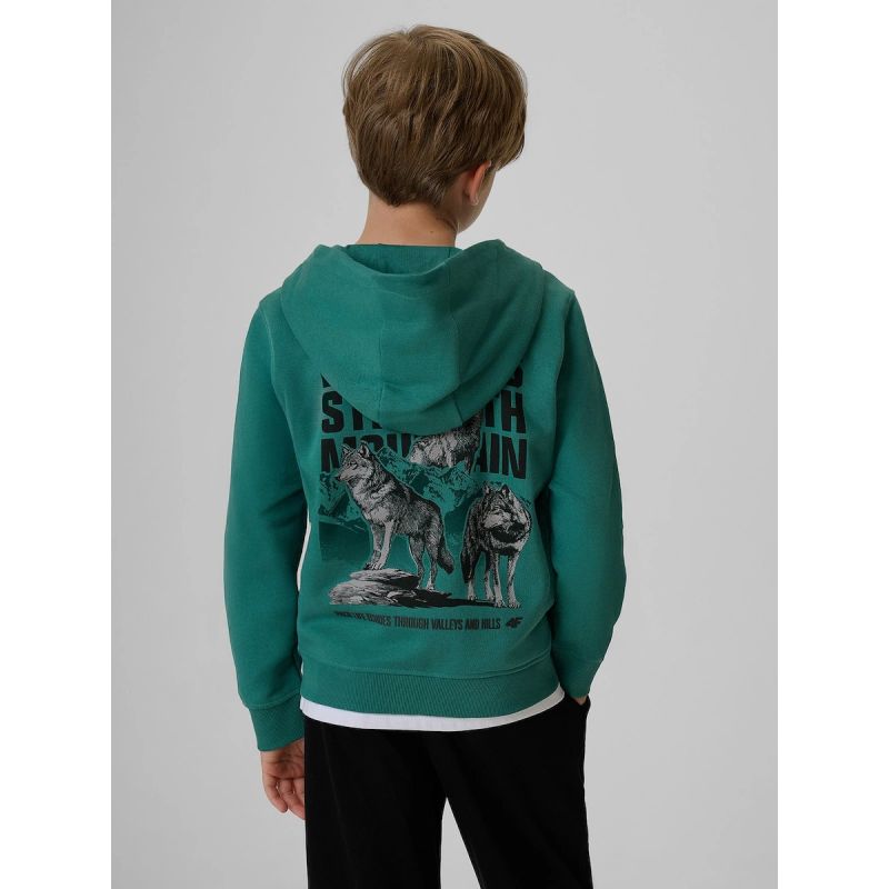 Boy's regular hooded sweatshirt 4F 4FJKAW26TSWSM3153-46S