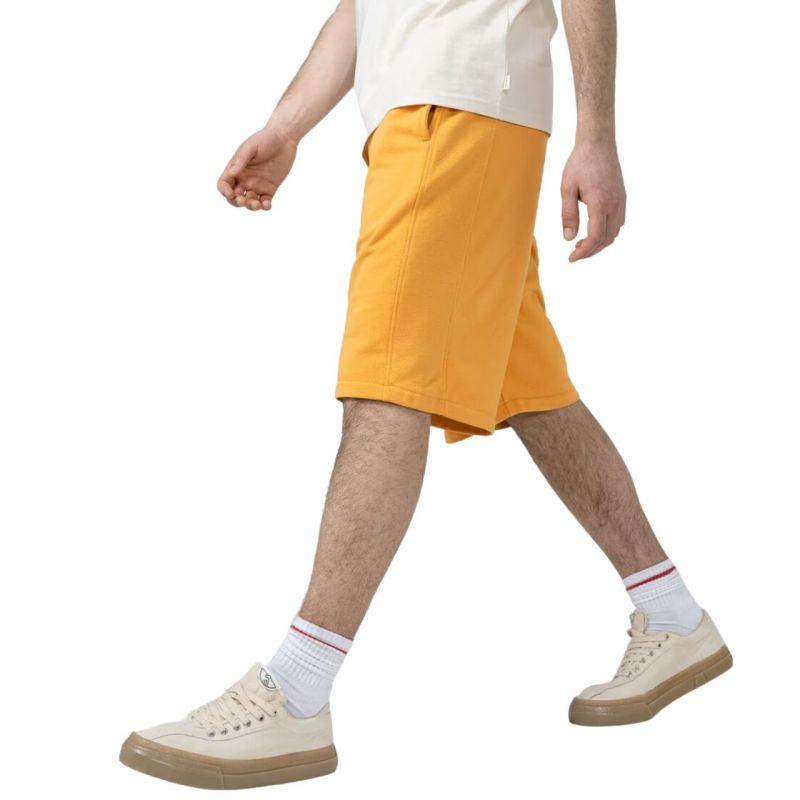 Shorts Outhorn M ACOTHSS23TSHOM132 74S Clothing/Training Your Sports Performance