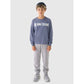 Boys' jogger sweatpants 4F Junior 4FJRAW24TTROM1175-25S *Kategoria tymczasowa Your Sports Performance