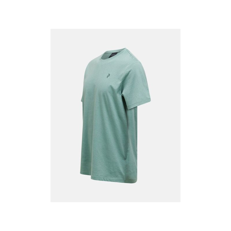 PEAK PERFORMANCE M Explore Graphic Tee, green