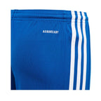 Adidas Squadra 21 Jr GK9156 shorts Clothing/Training Adidas