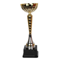 1990 Triumph Cup In preparation Your Sports Performance