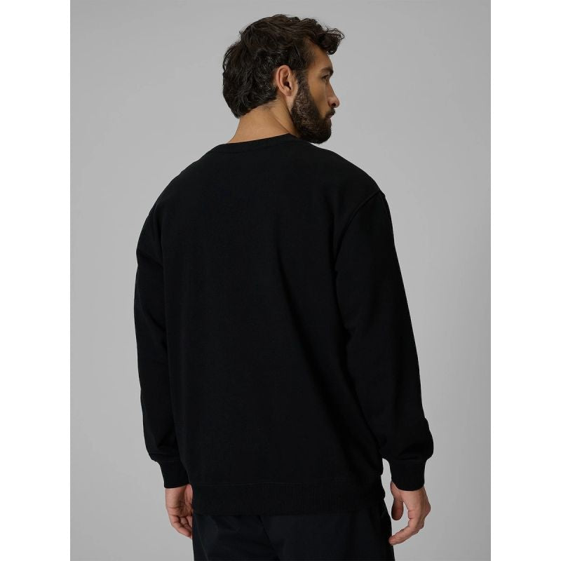 Men's regular sweatshirt without hood 4F 4FRMM00TSWSM3059-20S