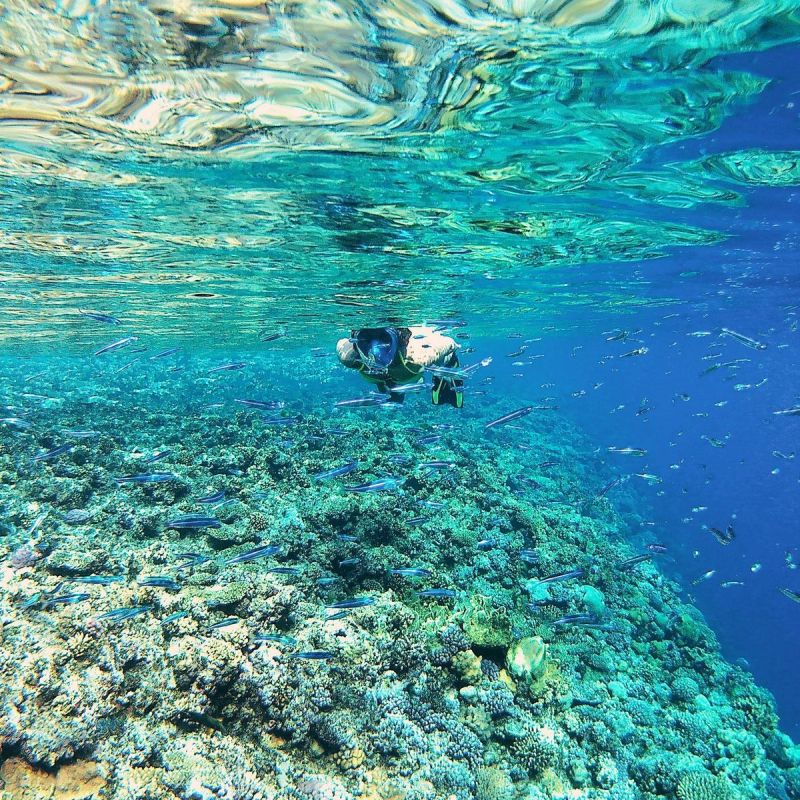 JUNIOR BEST SPORTING SNORKELING MASK Accessories Your Sports Performance