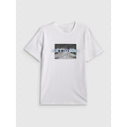 Men's regular printed T-shirt 4F 4FRSS26TTSHM3658-10S 4f
