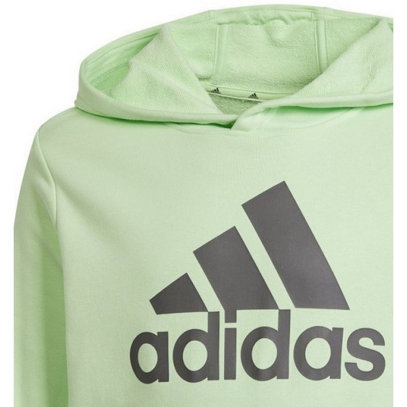 Adidas Big Logo Hoodie Jr IS2591 sweatshirt Clothing/Lifestyle Adidas