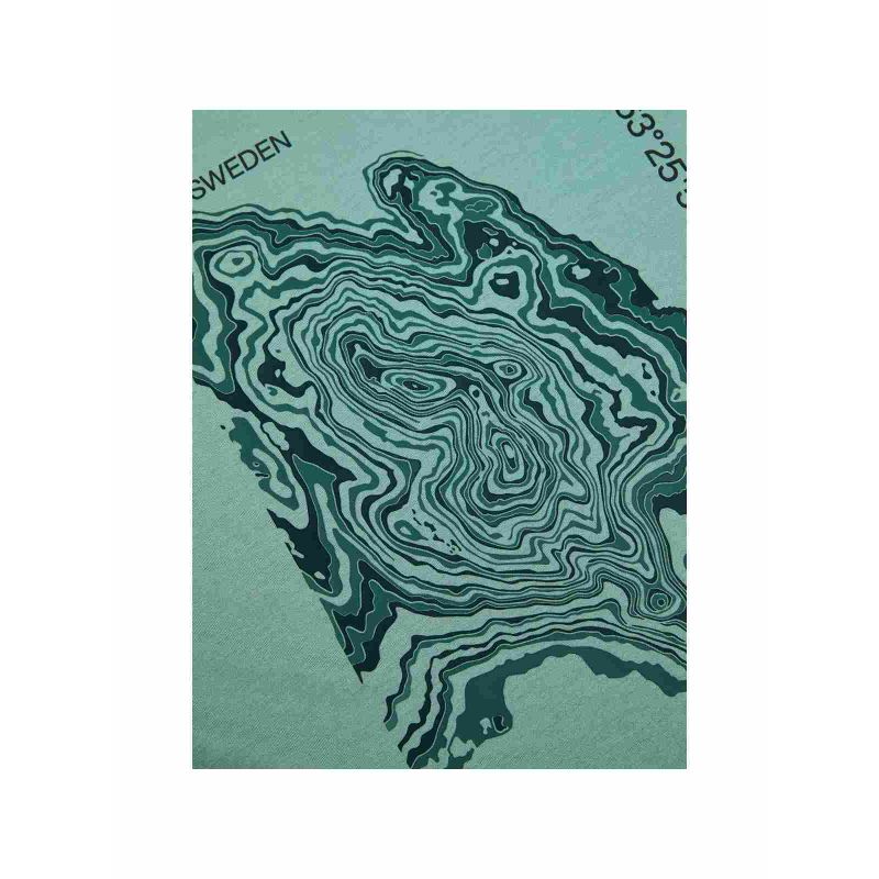 PEAK PERFORMANCE M Explore Graphic Tee, green