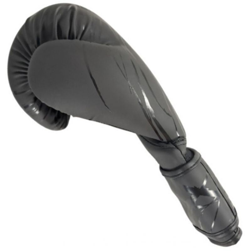 MASTERS RPU-COLOR/COLOR boxing gloves In preparation Your Sports Performance
