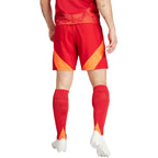 Adidas Tiro 24 Competition Training M shorts IK2245 Clothing/Football Adidas