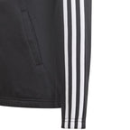 Adidas Essentials 3S Full-zip Hoodie Jr GQ8356 Clothing/Lifestyle Adidas
