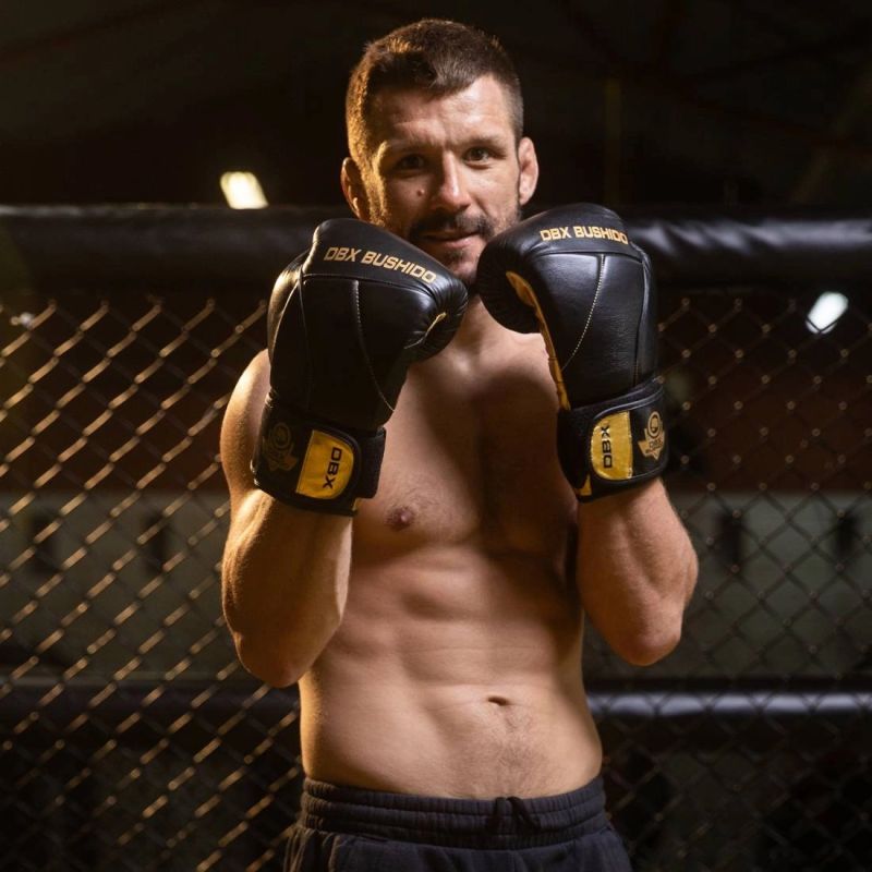 10oz Boxing Gloves - Hammer Gold - Legacy Series rękawice treningowe Your Sports Performance