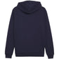 Puma Team Goal Casuals Hooded M 658595 06 sweatshirt Clothing/Football Puma