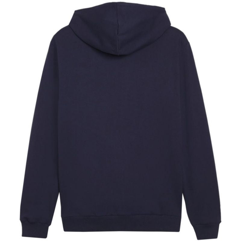 Puma Team Goal Casuals Hooded M 658595 06 sweatshirt Clothing/Football Puma