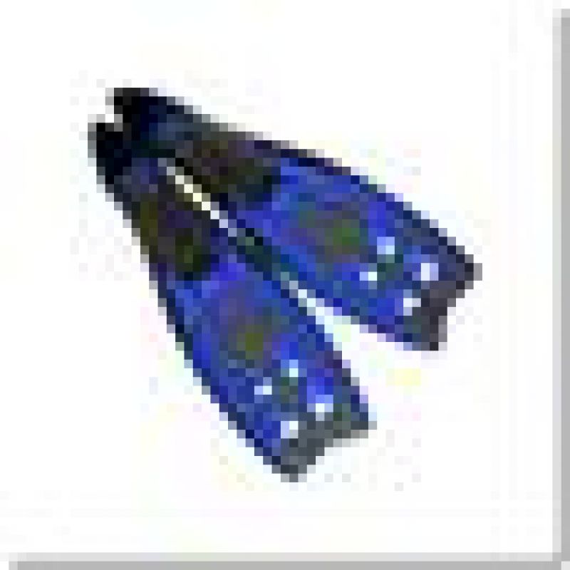 Caiman 36/37 Salevas 12-3-101 Fins Accessories/Swimming accessories Your Sports Performance