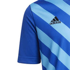 T-shirt adidas Entrada 22 Graphic Jersey Jr HF0130 Clothing/Training Adidas