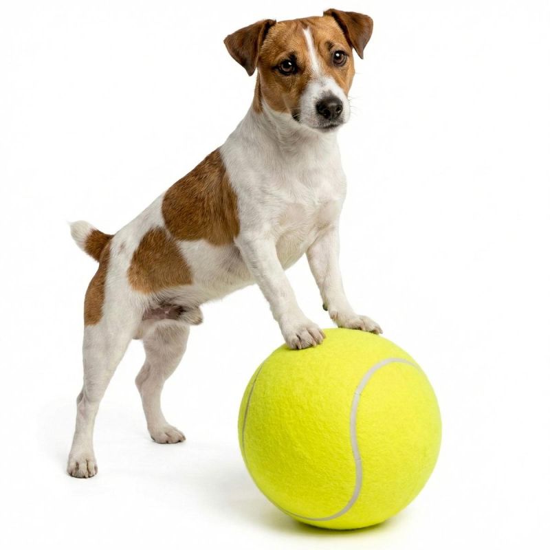 TENNIS BALL XL DIA 22CM Sport/Sporty Rakietowe/Tenis Ziemny/Piłki Your Sports Performance