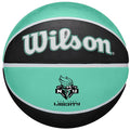 Wilson WNBA Team Tribute New York Liberty Ball WTB4600XBNYL Basketball Accessories/Balls/Basketball Your Sports Performance