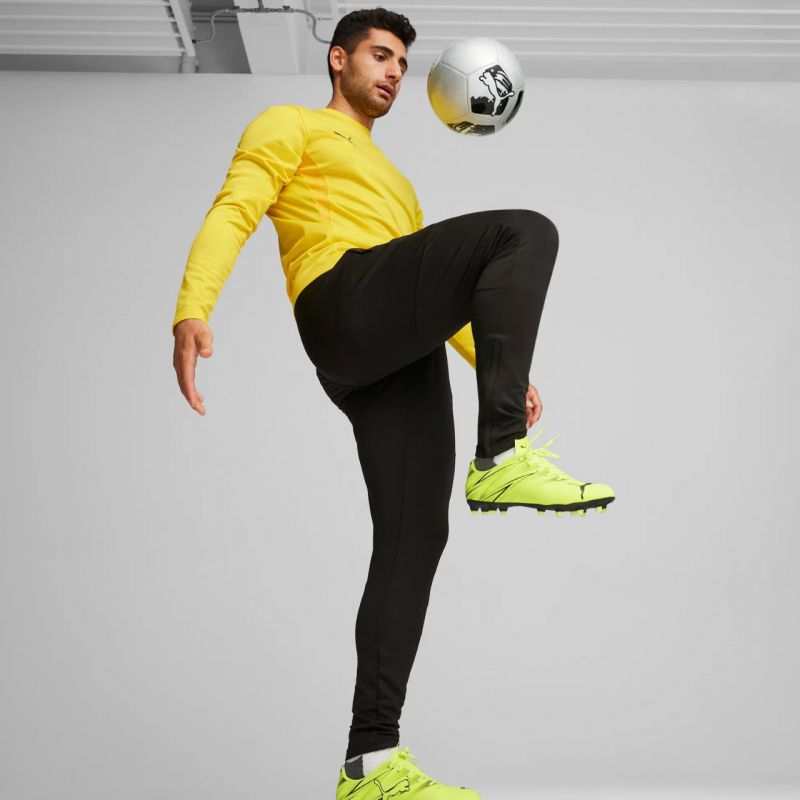 Puma Team Goal Slim Training Pants M 659037 03 Clothing/Training Puma