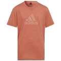 T-shirt adidas FI Big Logo Tee girls Jr IC0110 Clothing/Training Adidas