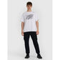 Men's regular printed T-shirt 4F 4FRAW25TTSHM3259-10S 4f