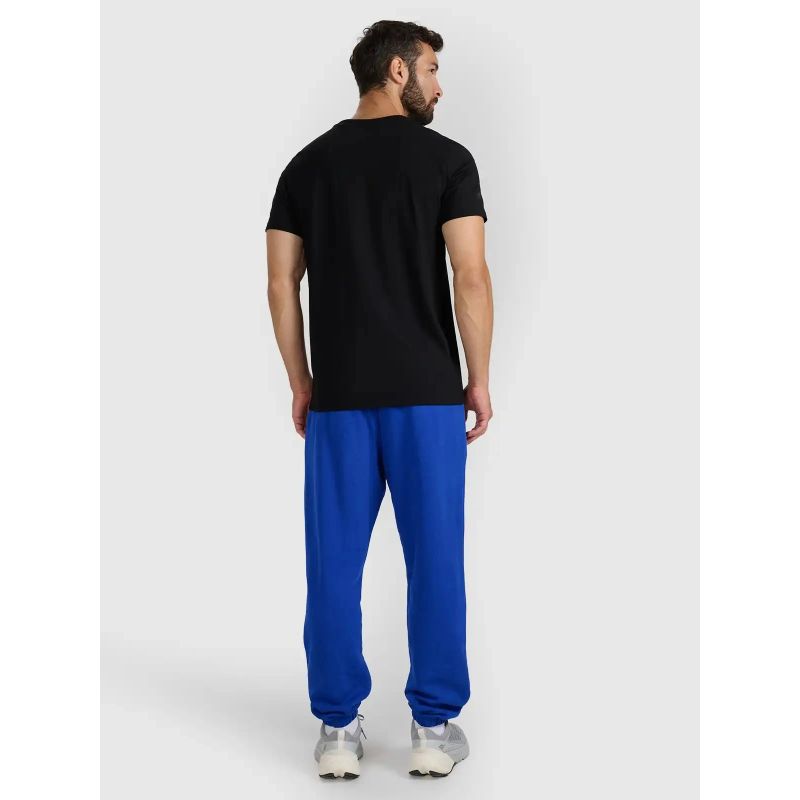 Men's sweatpants 4F 4FWAW25TTROM1272-36S 4f