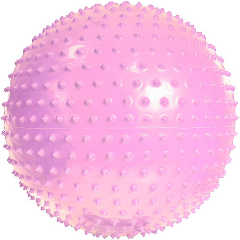 Gym ball with massage PROFIT 55cm purple DK 2104 Accessories/Training equipment Your Sports Performance